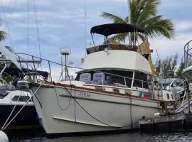 43' Classic Trawler 5 Star Resort Pools, Views, Dining Free Shuttle to Downtown