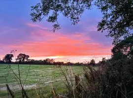 Sunset View
