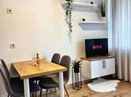 Apartment in Bavorská Ruda, hotel in Bayerisch Eisenstein