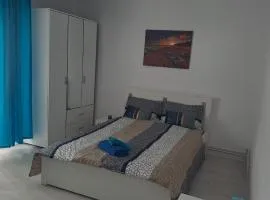 Aquamarin iulius mall studio