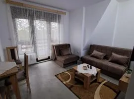 Apartman Pavlovic