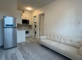 Brand New Secondary Suite with Kitchen