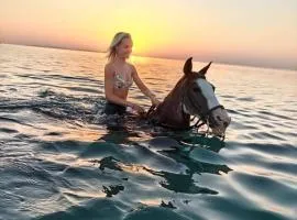 Luxury suit with private beach and aquapark
