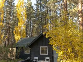 Colorado Lodge, hotel a Big Bear Lake