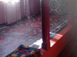 Navabad Village, Davlatmamadova Pevistamo's property