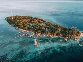 Arborek Diving Homestay R4