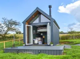 Llandremor Fawr Lodge - Uk50336