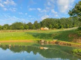 Bracken Yurt - Ukc6941
