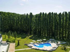 ibis Styles Milano Est Settala