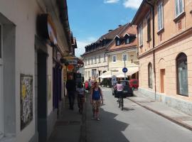 Hostel Sleeping Beauty, vandrarhem i Ljubljana