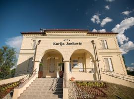 Hotel Kurija Janković, hotel with parking in Lukač