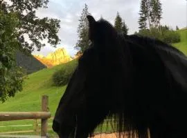 Gîte Au Pré des Chevaux