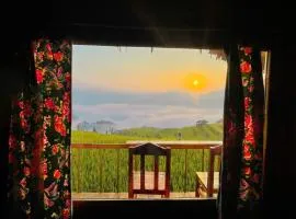 Bình Mình Homestay