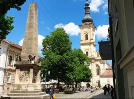 Ultra-Central Cozy Studio, Steps from Everything