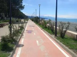 Квартира на пляже в Кобулети