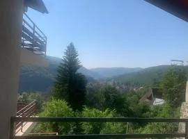 Stone Room with jacuzzi Sinaia