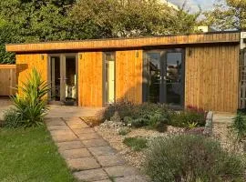 Driftwood at BotanyBay - Dogs Welcome