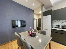 Modern and Elegant Apartment