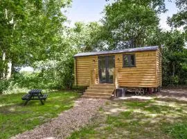 Oak - Ukc4846