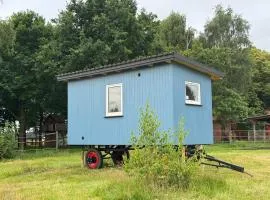 Blauer Wagen im Grünen