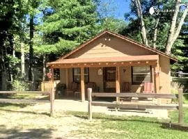 Idyllic Cabin Rental for the Perfect Summer Vacation on Clear Lake in Michigan