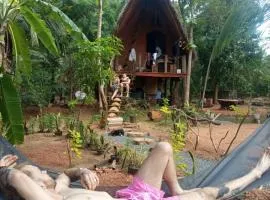 Sigiri Hunter's Eco Tree lodge