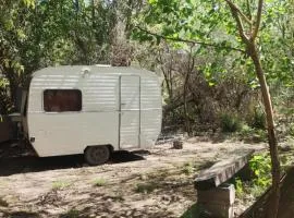 Casa Rodante y Camping Los Retoños