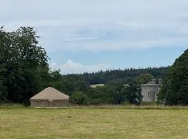 Chestnut - Yurt