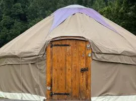 Chestnut - Yurt