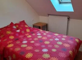 chambre dans maison au mans