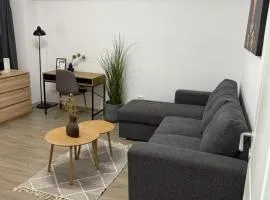 Apartament cu o cameră