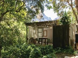 Camps Bay Forest Pods