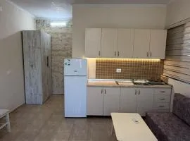 Villa Mici