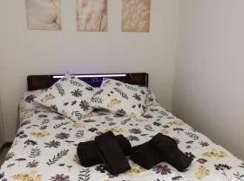 Cozy apartment, WiFi, garage, quiet city center