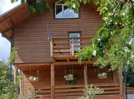 Svyat House