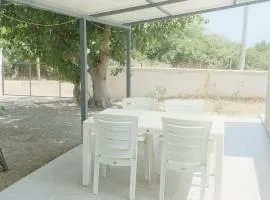 Olive Apartments