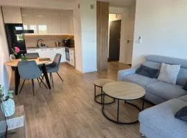 Apartament Rzemieślnicza Premium