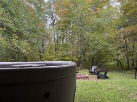 Luxury Mountain Getaway - 6 bed, 3 bath, hot-tub, fire-pit, game-room，位于亨特的酒店