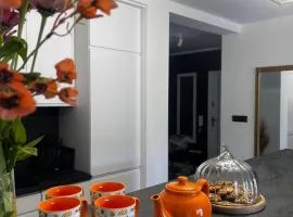 Apartament Ustrzyki Dolne "Dark-Wolf"