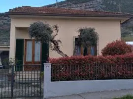 Casa Tesi