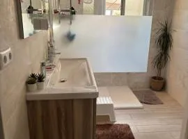 Maison avec piscine