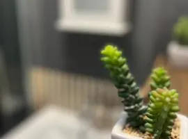 Cosy Studio
