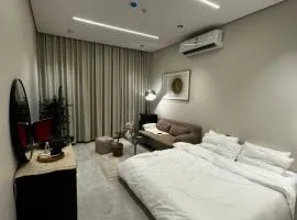 استديو فاخر دخول ذاتي