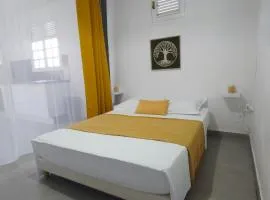 La Fleur Doré Studio Le Vauclin