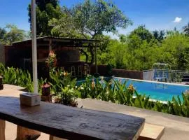 Eco Moringa Garden