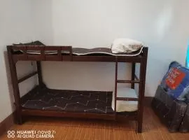 Ollie's Place