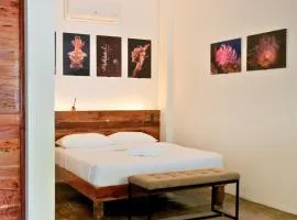 Critter Republic Dive Resort