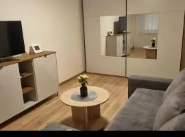 Mini apartamentai