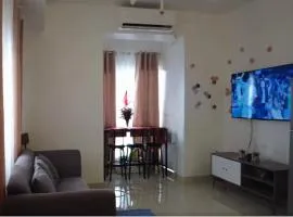 Shane's View