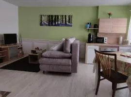 Schöne 2 Zimmer Wohnung mit separatem Eingang in Sulz Bergfelden bis 4 Personen